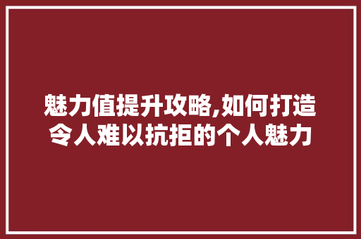 魅力值提升攻略,如何打造令人难以抗拒的个人魅力 SEO教程