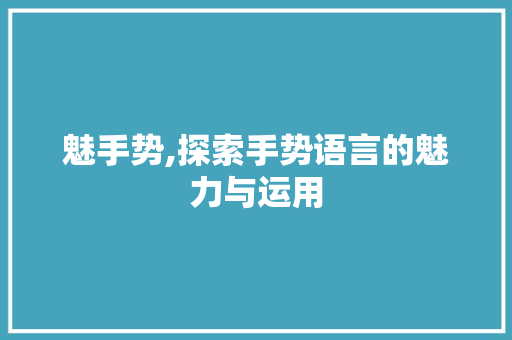魅手势,探索手势语言的魅力与运用 WordPress教程