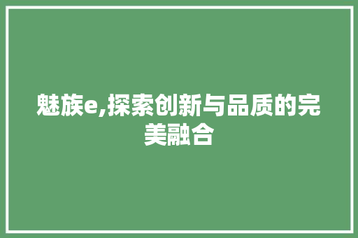 魅族e,探索创新与品质的完美融合