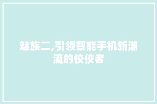 魅族二,引领智能手机新潮流的佼佼者