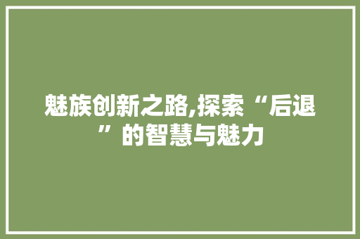 魅族创新之路,探索“后退”的智慧与魅力