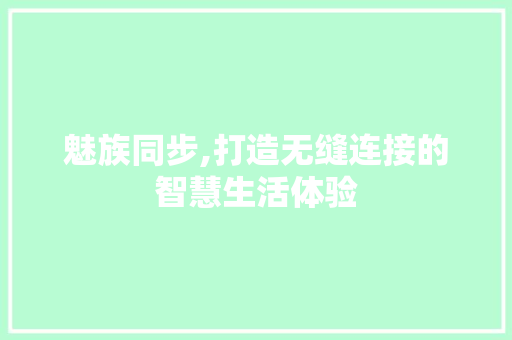 魅族同步,打造无缝连接的智慧生活体验