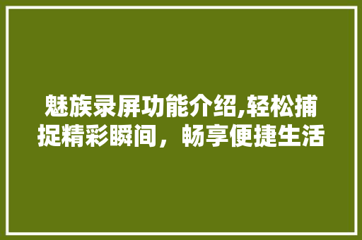 魅族录屏功能介绍,轻松捕捉精彩瞬间，畅享便捷生活