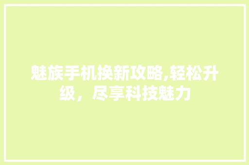 魅族手机换新攻略,轻松升级，尽享科技魅力
