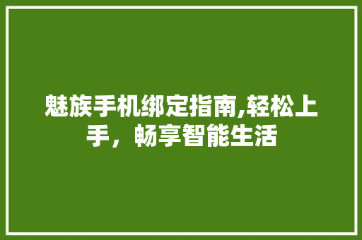 魅族手机绑定指南,轻松上手，畅享智能生活