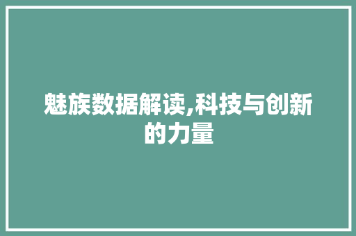 魅族数据解读,科技与创新的力量