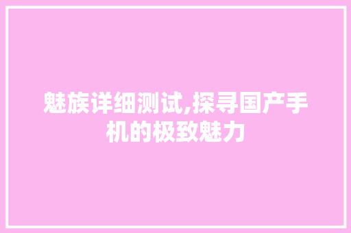 魅族详细测试,探寻国产手机的极致魅力