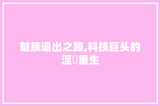 魅族退出之路,科技巨头的涅槃重生