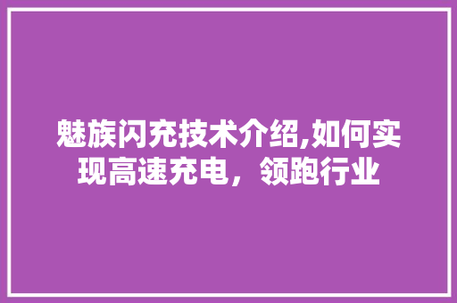 魅族闪充技术介绍,如何实现高速充电，领跑行业