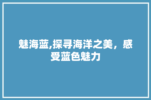 魅海蓝,探寻海洋之美，感受蓝色魅力