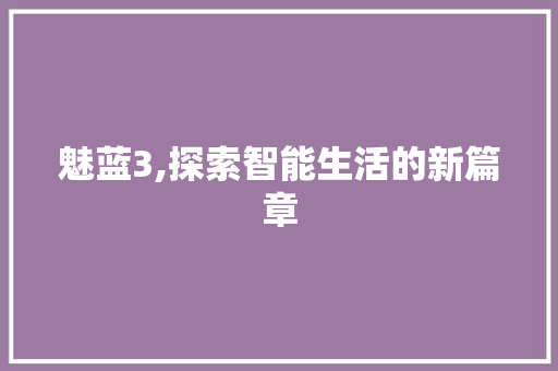 魅蓝3,探索智能生活的新篇章 服务器/数据库