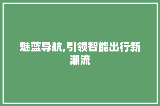 魅蓝导航,引领智能出行新潮流