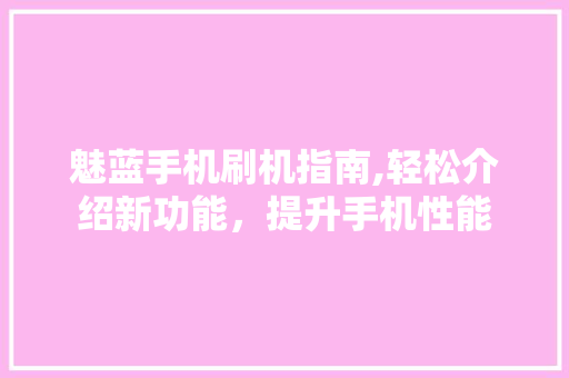 魅蓝手机刷机指南,轻松介绍新功能，提升手机性能