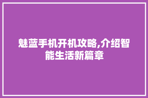 魅蓝手机开机攻略,介绍智能生活新篇章 建站教程