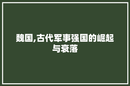 魏国,古代军事强国的崛起与衰落 服务器/数据库