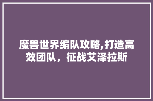 魔兽世界编队攻略,打造高效团队，征战艾泽拉斯 SEO教程