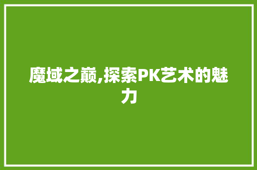 魔域之巅,探索PK艺术的魅力
