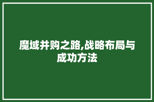 魔域并购之路,战略布局与成功方法