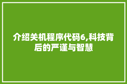介绍关机程序代码6,科技背后的严谨与智慧