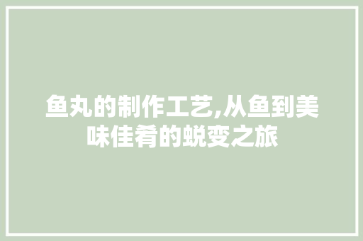 鱼丸的制作工艺,从鱼到美味佳肴的蜕变之旅 WordPress教程