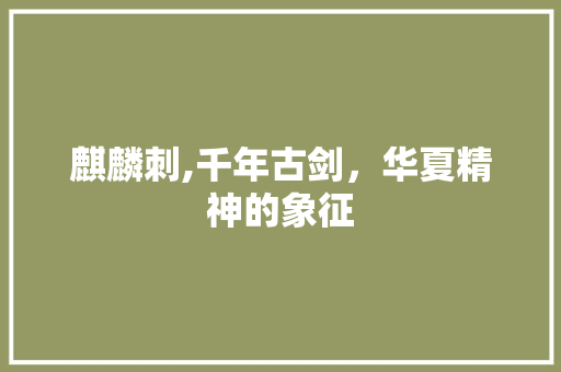 麒麟刺,千年古剑，华夏精神的象征