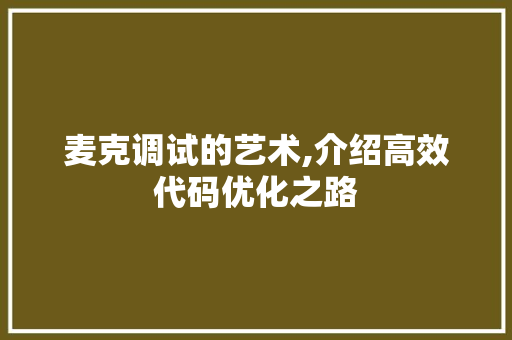 麦克调试的艺术,介绍高效代码优化之路