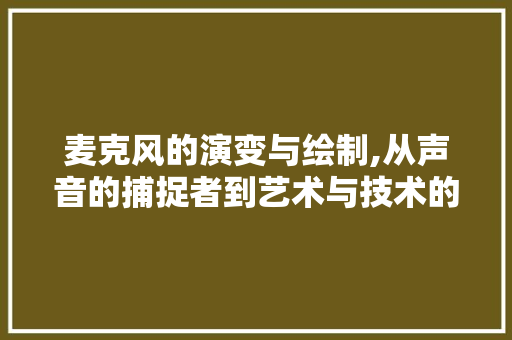 麦克风的演变与绘制,从声音的捕捉者到艺术与技术的交融