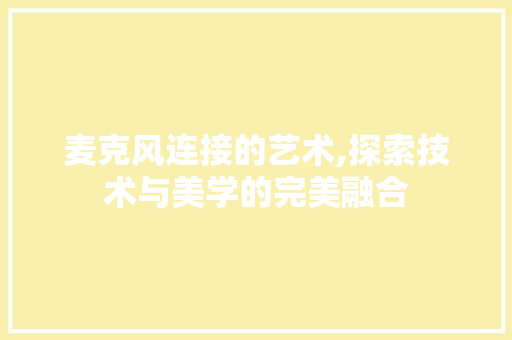 麦克风连接的艺术,探索技术与美学的完美融合