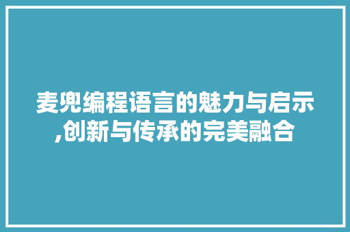 麦兜编程语言的魅力与启示,创新与传承的完美融合