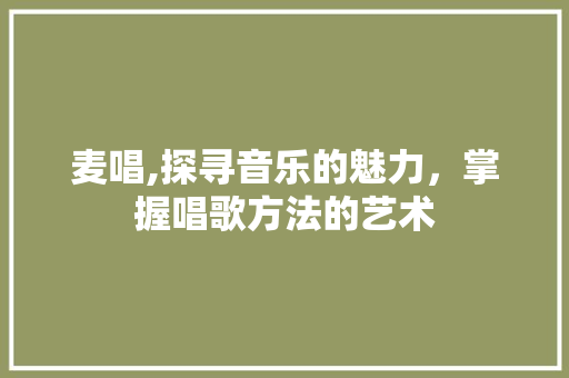 麦唱,探寻音乐的魅力，掌握唱歌方法的艺术