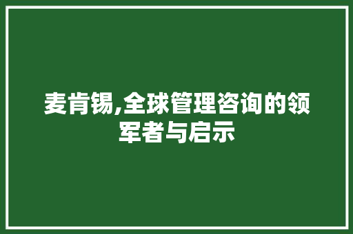 麦肯锡,全球管理咨询的领军者与启示