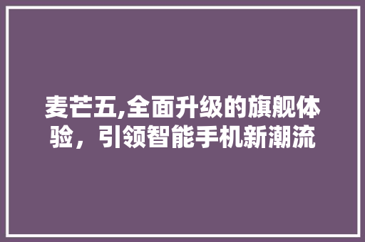 麦芒五,全面升级的旗舰体验，引领智能手机新潮流