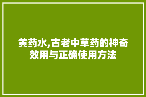 黄药水,古老中草药的神奇效用与正确使用方法