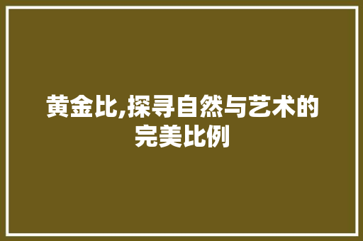 黄金比,探寻自然与艺术的完美比例 WordPress教程