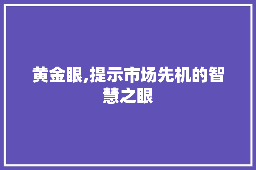 黄金眼,提示市场先机的智慧之眼 建站教程