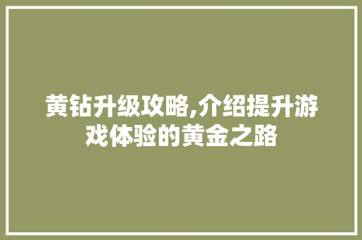 黄钻升级攻略,介绍提升游戏体验的黄金之路