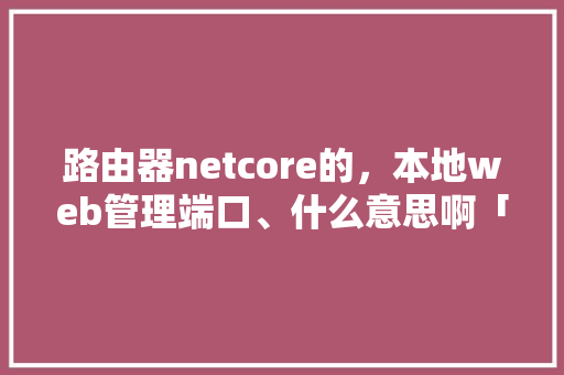 路由器netcore的，本地web管理端口、什么意思啊「web本地数据库」