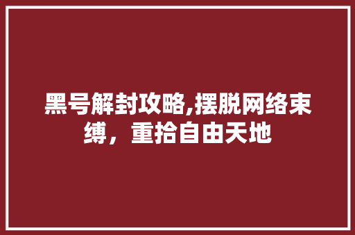黑号解封攻略,摆脱网络束缚，重拾自由天地