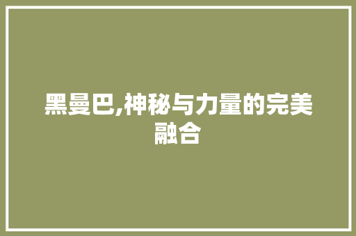 黑曼巴,神秘与力量的完美融合