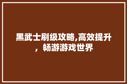 黑武士刷级攻略,高效提升，畅游游戏世界