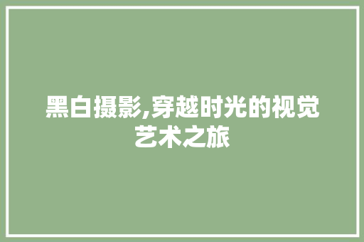 黑白摄影,穿越时光的视觉艺术之旅