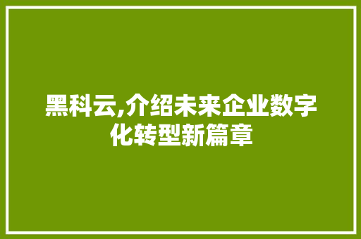 黑科云,介绍未来企业数字化转型新篇章 友链在线