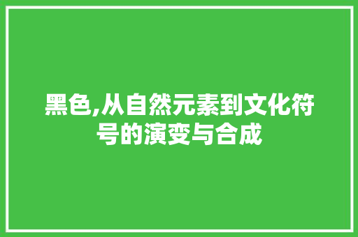 黑色,从自然元素到文化符号的演变与合成