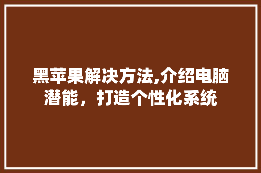 黑苹果解决方法,介绍电脑潜能，打造个性化系统