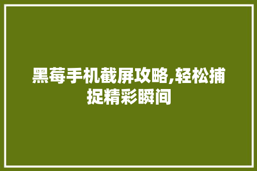 黑莓手机截屏攻略,轻松捕捉精彩瞬间 SEO教程