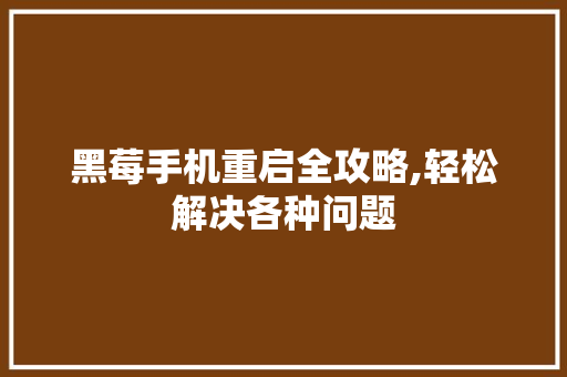 黑莓手机重启全攻略,轻松解决各种问题 服务器/数据库