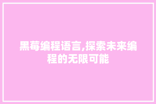 黑莓编程语言,探索未来编程的无限可能