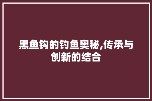 黑鱼钩的钓鱼奥秘,传承与创新的结合
