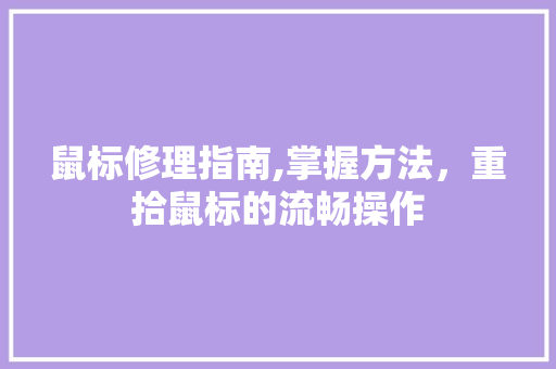 鼠标修理指南,掌握方法，重拾鼠标的流畅操作