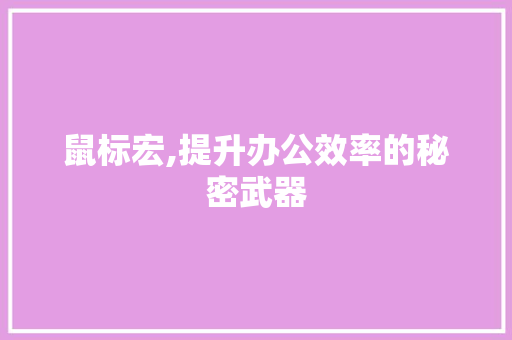 鼠标宏,提升办公效率的秘密武器